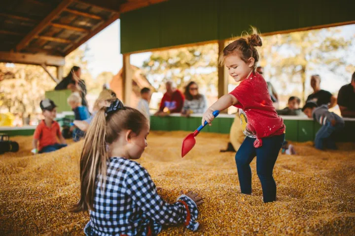 a little girl that is standing in the grass
