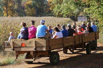 hayride