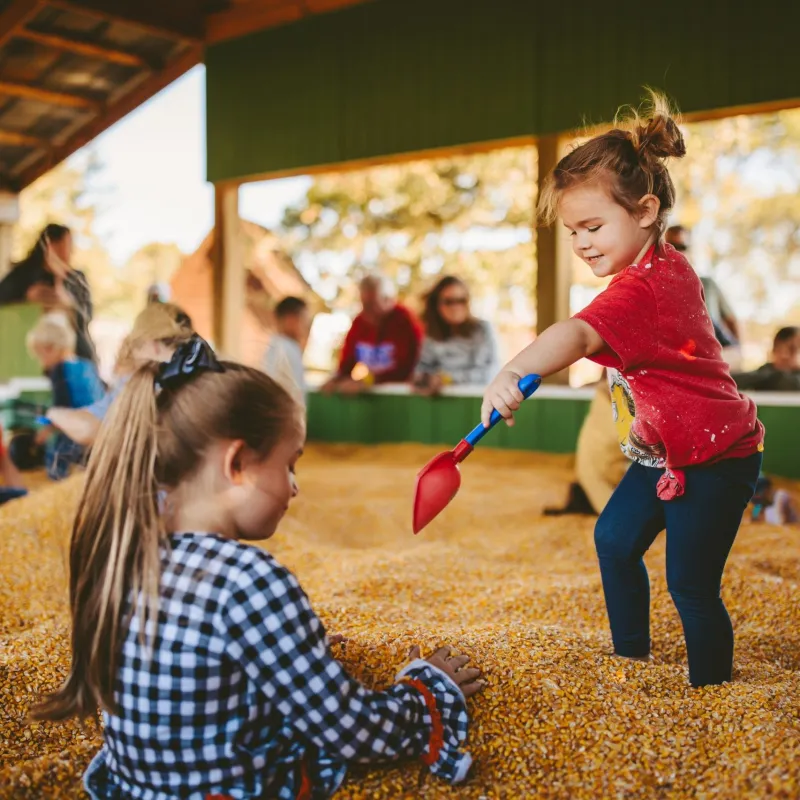 a little girl that is standing in the grass