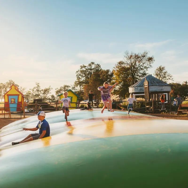 a group of people on a beach